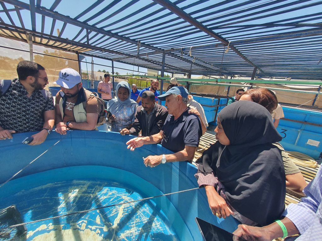 7297Community-based aquaculture of Giant Clam (Tridacna sp) and Sea Cucumber species in the Red Sea & Gulf of Aden
