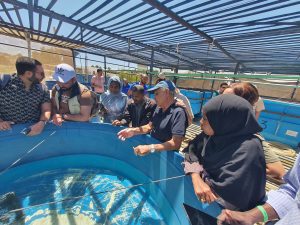 Community-based aquaculture of Giant Clam (Tridacna sp) and Sea Cucumber species in the Red Sea & Gulf of Aden