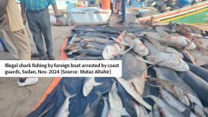 National Consultative Committee to discuss “the National plan of Action for Illegal, Unreported and Unregulated fishing (NPOA-IUU)