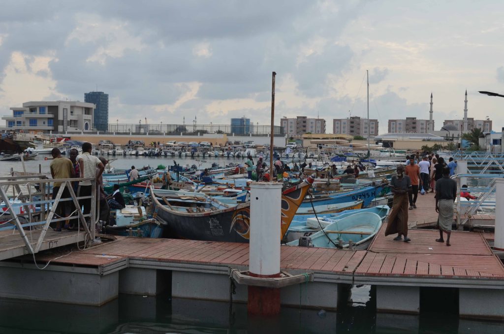 7690PERSGA Leads Regional Fishery Frame Surveys in Djibouti, Egypt, and Sudan