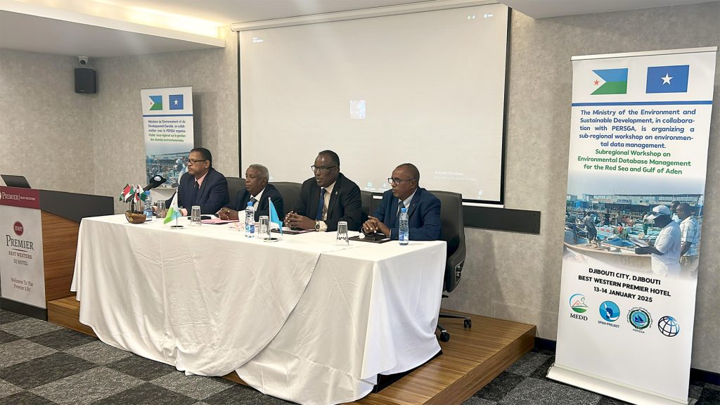 7904افتتاح الورشة التدريبية شبه الإقليمية لنظام الإدارة الإقليمي للمعلومات (RIMS) في جيبوتي