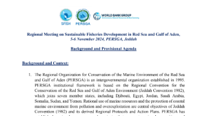 Background and Provisional Agenda