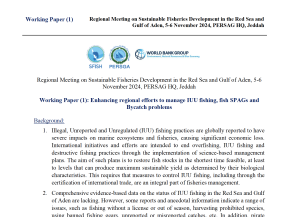 Working Paper (1): Enhancing regional efforts to manage IUU fishing, fish SPAGs and Bycatch problems