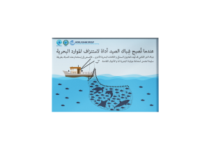 Fishing Net