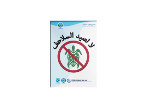 No Sea Turtle Hunting