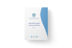 دليل استرشادي بشأن أماكن الجوء السفن