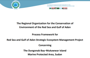 POPs Process Framework Sudan Jan 2013 English