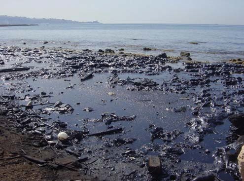 Oil pollution in marine environment